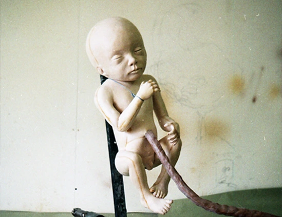 animatronic gastineau mecanics baby