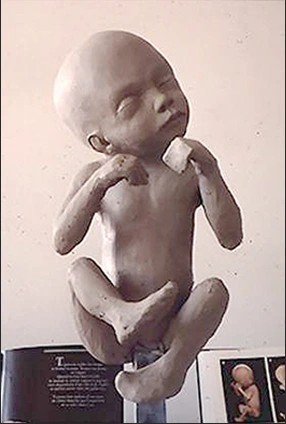 animatronic gastineau sculptur baby