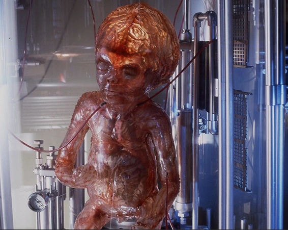 silicon foetus