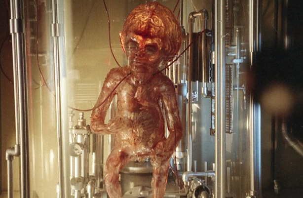 silicon foetus