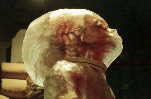 silicon foetus