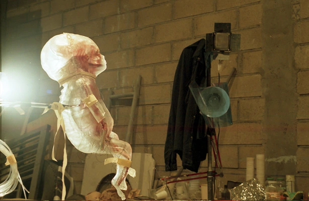 silicon foetus