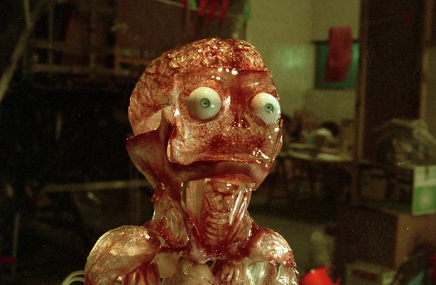 silicon foetus