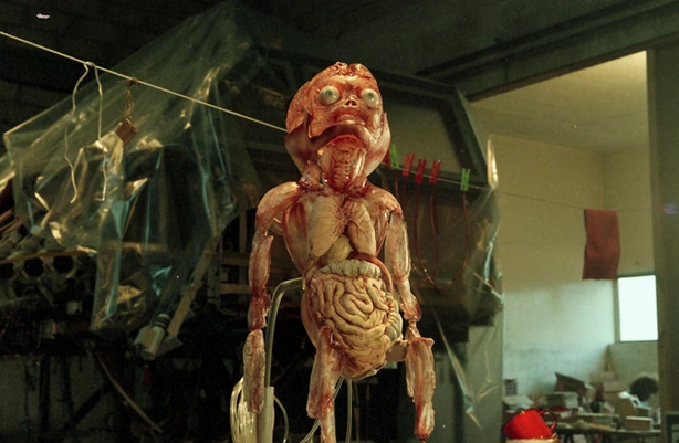 silicon foetus