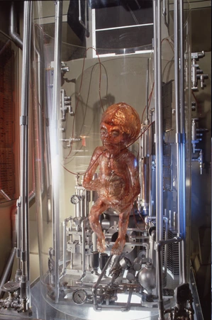 silicon foetus