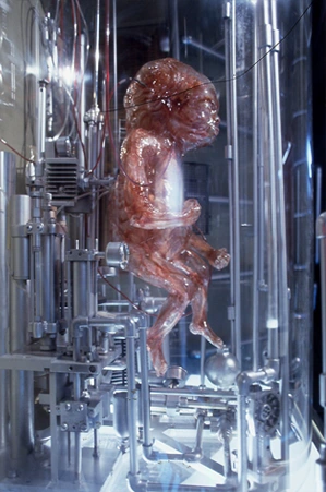 silicon foetus