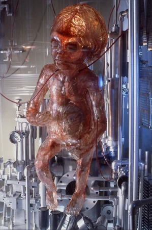 silicon foetus