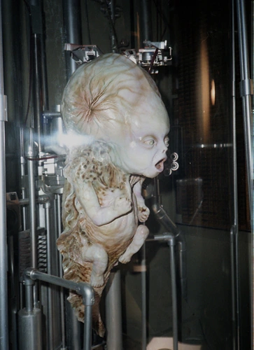 animatronic child Jacques Gastineau