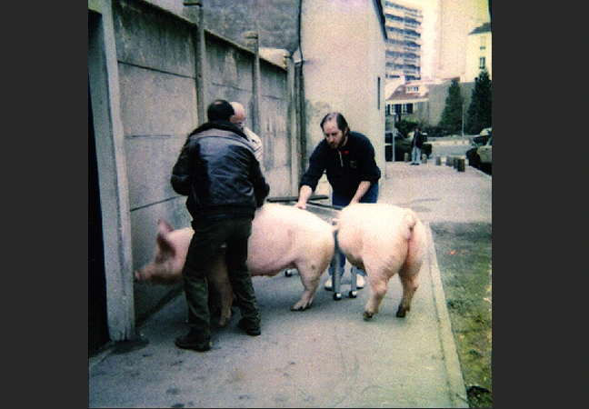 animatronic pig Jacques Gastineau