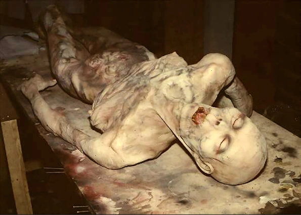 animatronic makeup effect