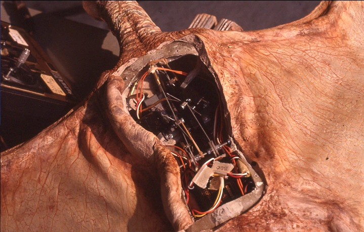 animatronic ptero Gastineau