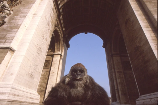 animatronics gorilla costume