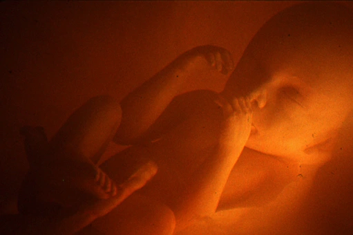 Mechanical spécial effect, Movie 1992