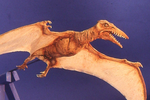 animatronic pterodactyle