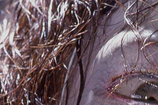 special effects for the movie Terminus 1987 with Johnny Hallyday